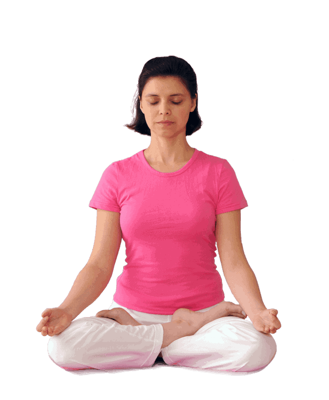 Swami Vishnudevanandas 5 Points of Yoga Ashram de Yoga France Sivananda Yoga 1 1