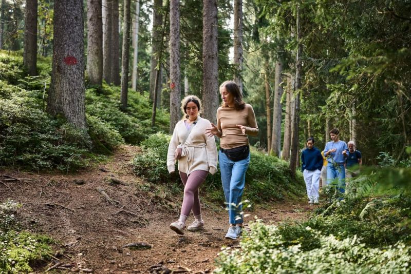 Yoga - ein innerer Weg
